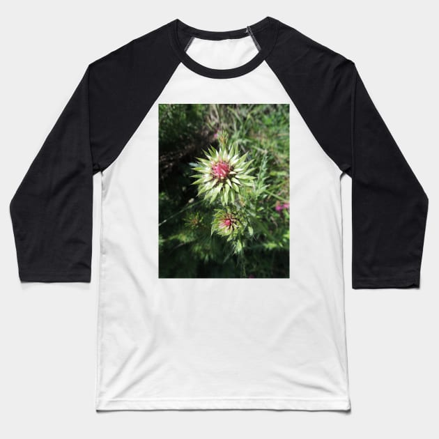 Alpine Thistle Baseball T-Shirt by AlexaZari